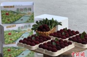 梦见婆婆高速赋能产业升级：一条“杨梅路”的致富密码